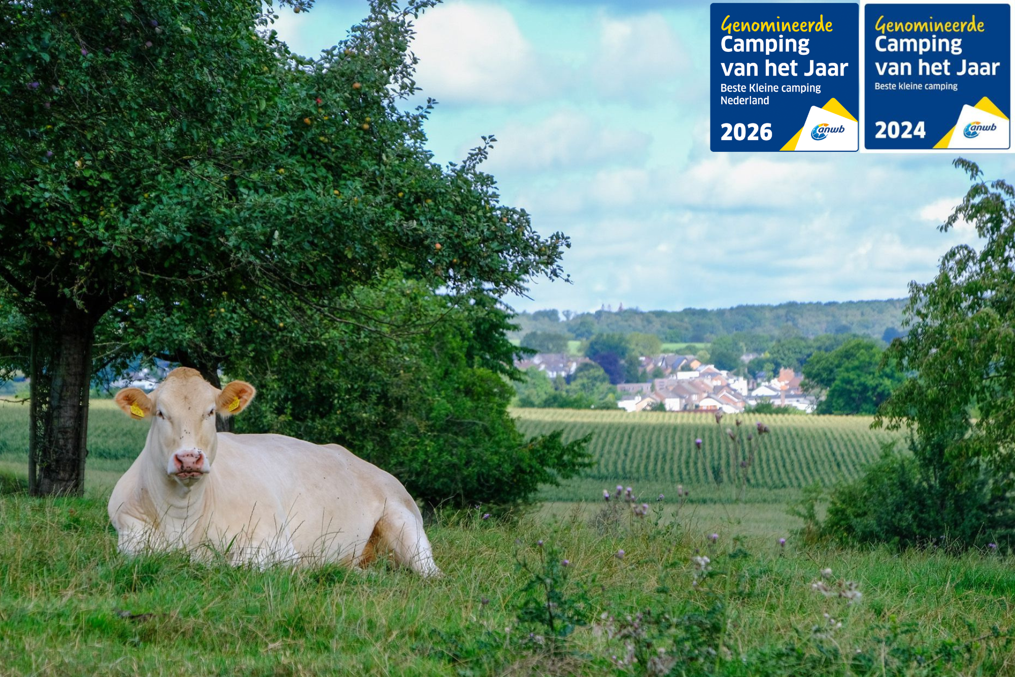 Tergracht Limburg Tergracht Limburg